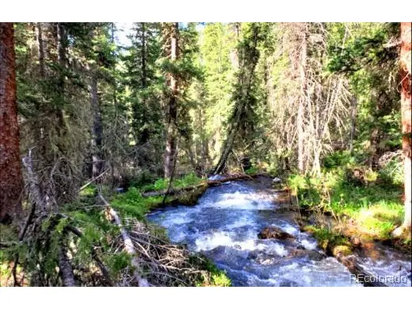 111 FS Road 752.3B, Gunnison, CO 81231