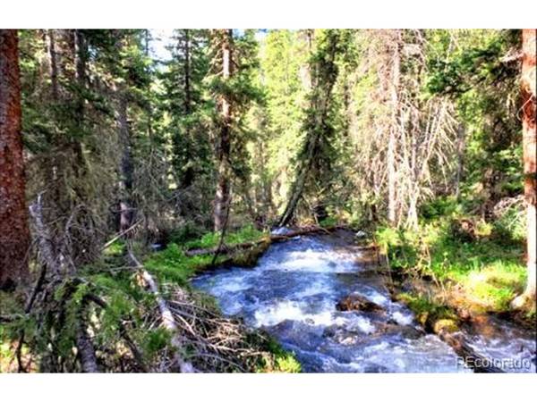 111 FS Road 752.3B, Gunnison, CO 81231