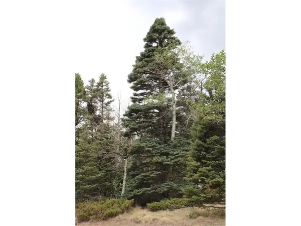 2874 Fery Loop, Fort Garland, CO 81133