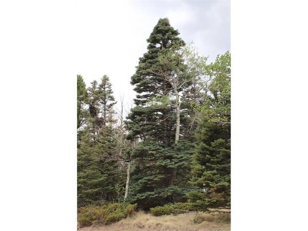 2874 Fery Loop, Fort Garland, CO 81133