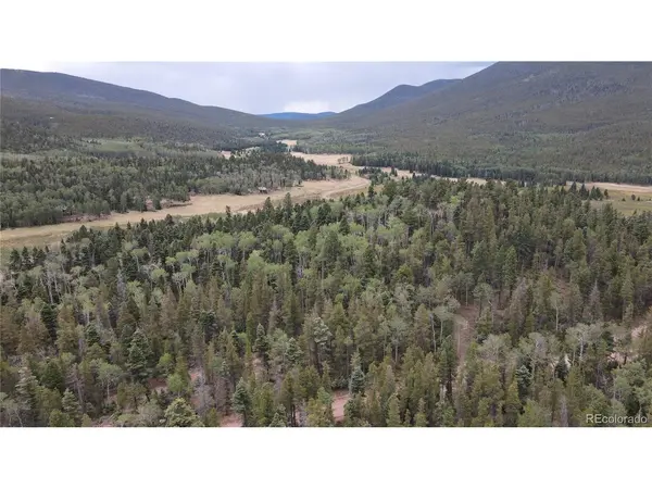 2874 Fery Loop, Fort Garland, CO 81133