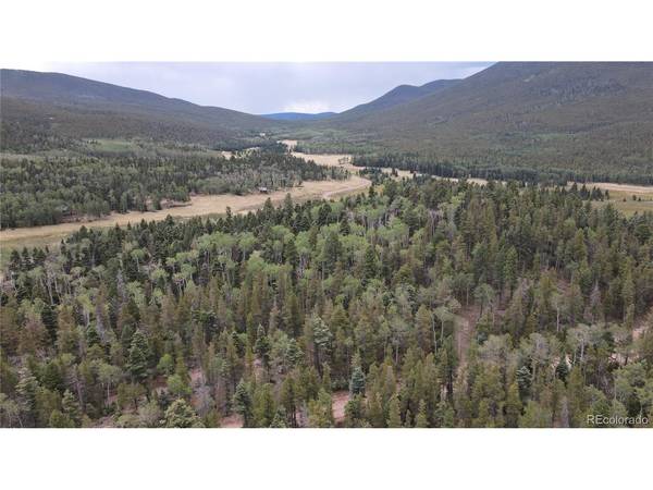2874 Fery Loop, Fort Garland, CO 81133