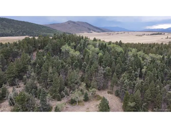 2874 Fery Loop, Fort Garland, CO 81133