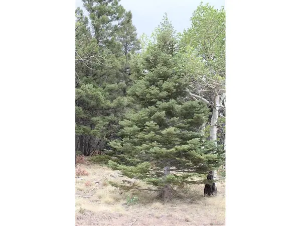 2874 Fery Loop, Fort Garland, CO 81133