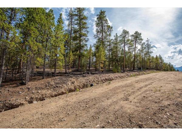 198 Lodgepole, Leadville, CO 80461