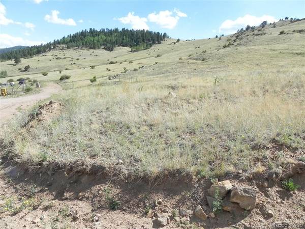 1 Colorado, Cripple Creek, CO 80813