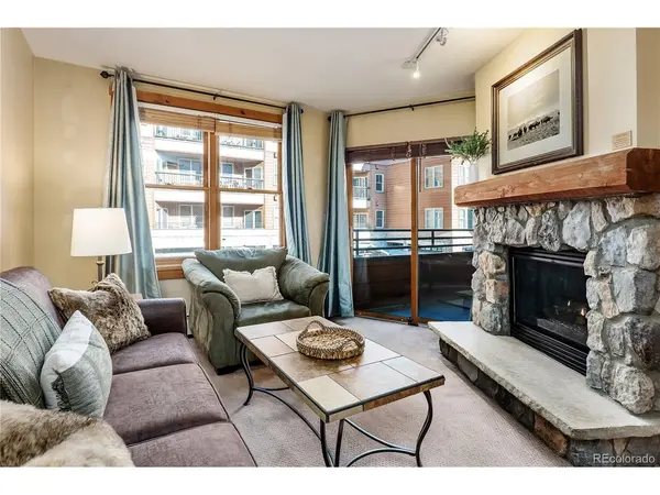 100 Dercum #8343, Dillon, CO 80435