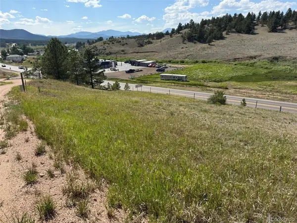 125 Hillside, Florissant, CO 80816