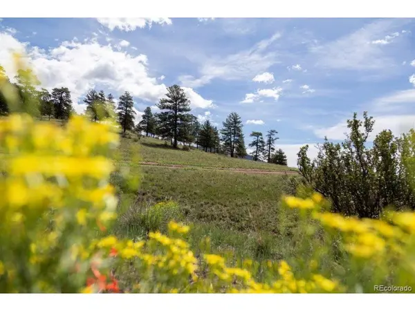 Address not disclosed, Creede, CO 81130