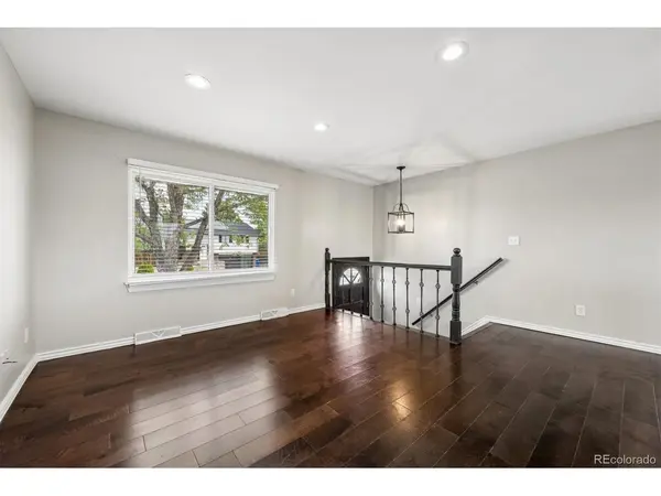 546 Leona, Denver, CO 80221