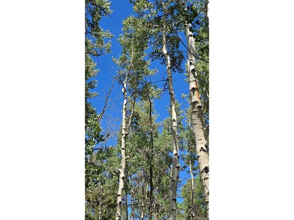 6748 Starkweather, San Luis, CO 81152