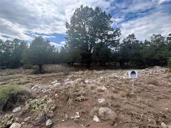 1661 Willow Creek, Crestone, CO 81131