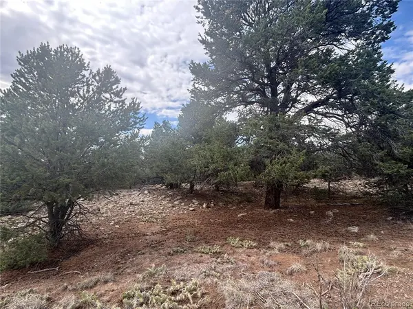 1661 Willow Creek, Crestone, CO 81131