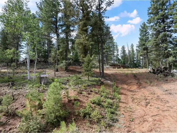 422 Spring Valley, Divide, CO 80814