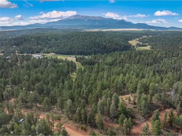 422 Spring Valley, Divide, CO 80814