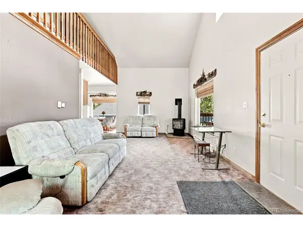 271 Willow, Alma, CO 80420