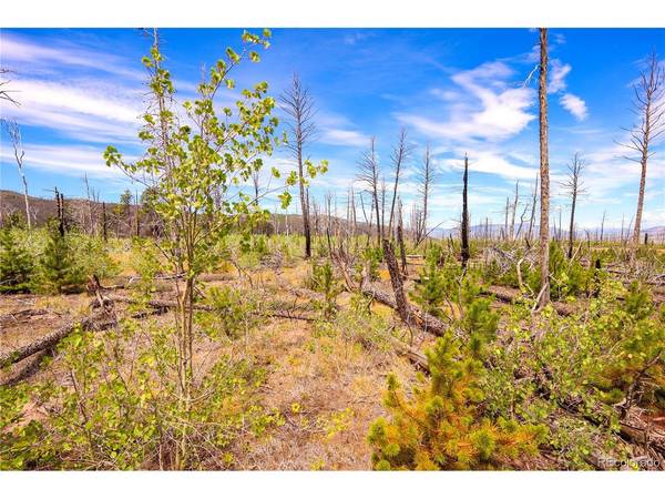 1386 Emery, Fort Garland, CO 81133