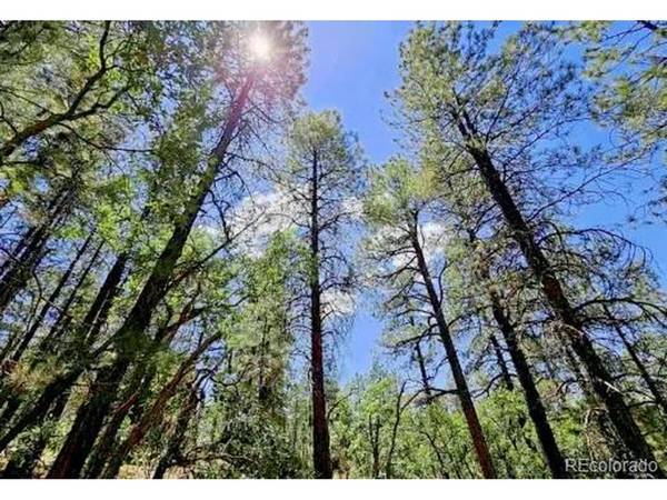 131 Retreat, Pagosa Springs, CO 81147