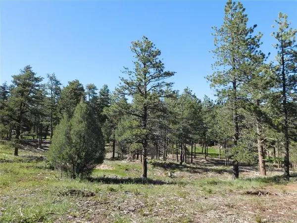 7514 Seminole, Larkspur, CO 80118
