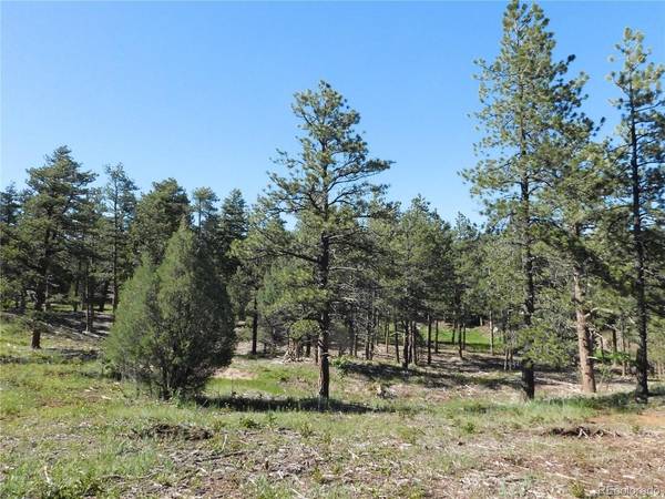 7514 Seminole,  Larkspur,  CO 80118
