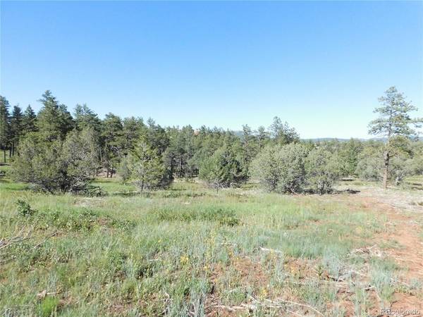 7514 Seminole, Larkspur, CO 80118