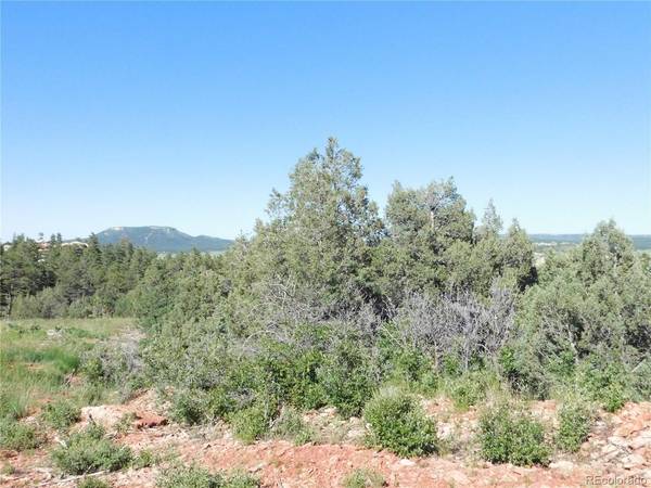 7514 Seminole, Larkspur, CO 80118