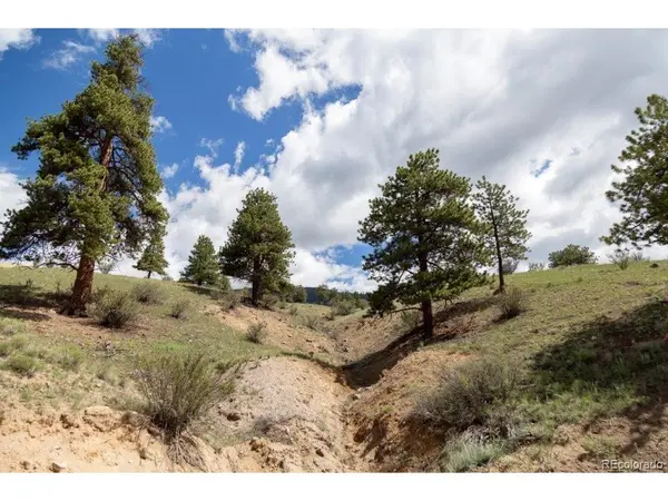 Address not disclosed, Creede, CO 81130