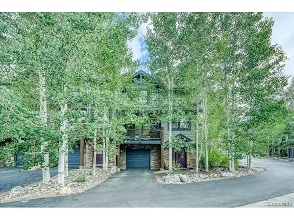 542 Northstar #1953, Dillon, CO 80435