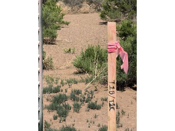 1 Lane 2, Mosca, CO 81146