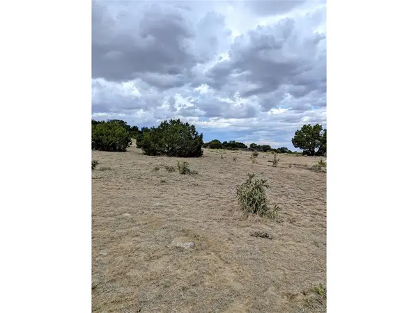 32540 County Road 525, Walsenburg, CO 81089
