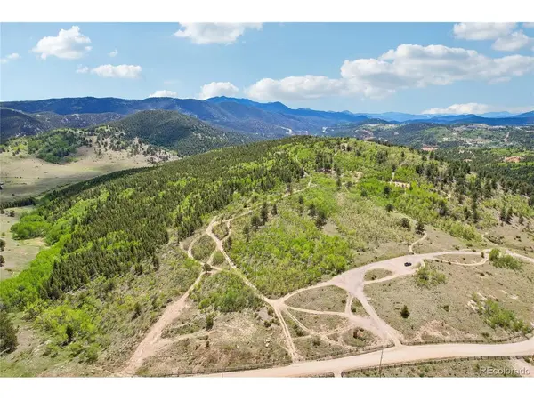 1 Mac Rock, Central City, CO 80427