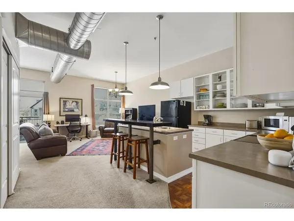 2900 N Downing #202, Denver, CO 80205