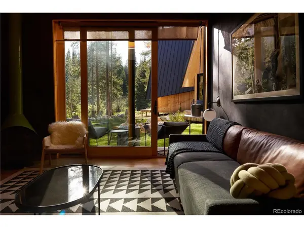 1008 Winter Park #3, Winter Park, CO 80482