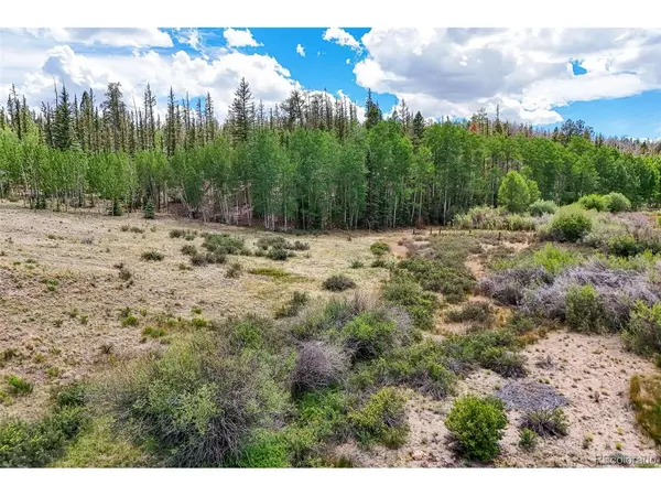 1111 Latigo, Hartsel, CO 80820