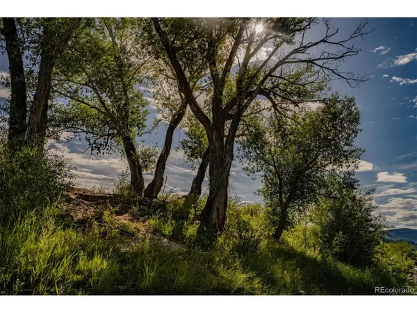 24283 River Rock, Buena Vista, CO 81211
