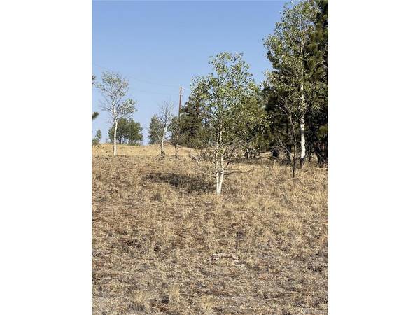 3031 Mcdowell, Como, CO 80432