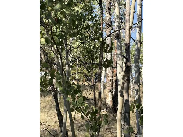 3031 Mcdowell, Como, CO 80432