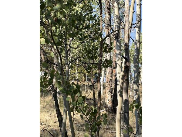 3031 Mcdowell, Como, CO 80432