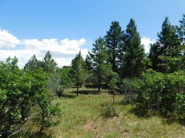 6447 Thunderbird, Larkspur, CO 80118