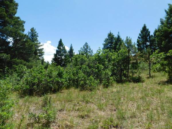 6447 Thunderbird, Larkspur, CO 80118