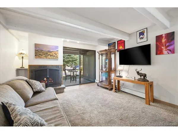 220 E La Bonte #130, Dillon, CO 80435