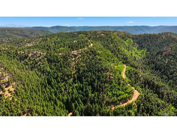 13446 S Firedog, Larkspur, CO 80118