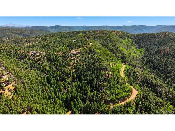 13446 S Firedog, Larkspur, CO 80118