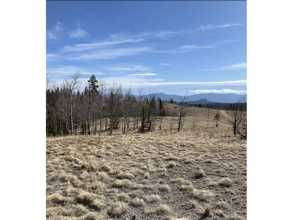 325 Shoshone, Como, CO 80456