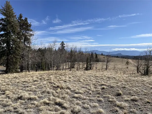 325 Shoshone, Como, CO 80456