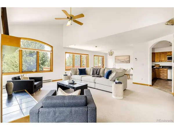 454 Ensign #A, Dillon, CO 80435