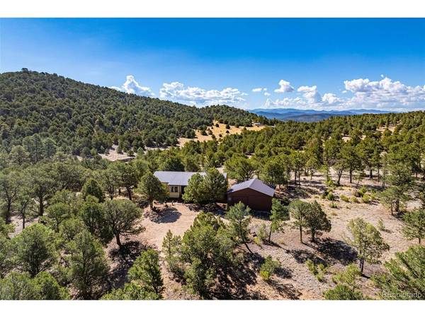 356 Iron Mountain, Cotopaxi, CO 81223