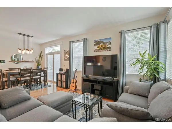 2721 Alton, Denver, CO 80238