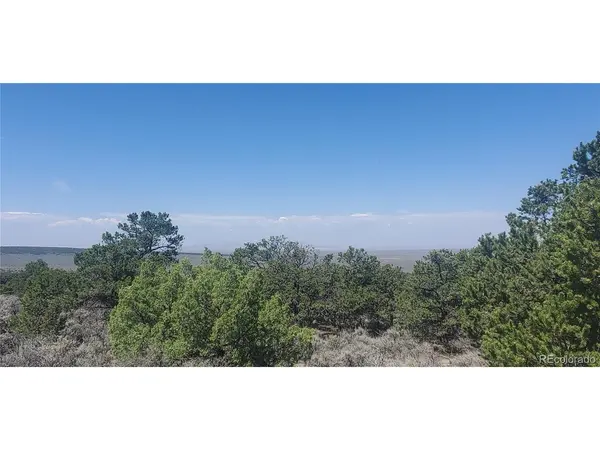 1412 Michaels Road, Fort Garland, CO 81133