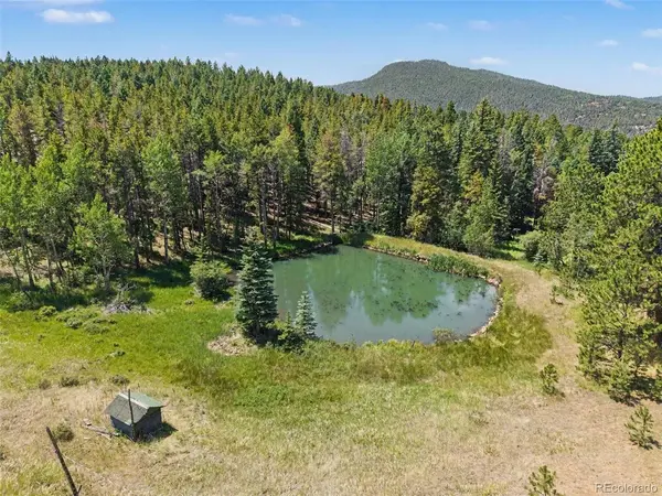 23300 Pleasant Park, Conifer, CO 80433